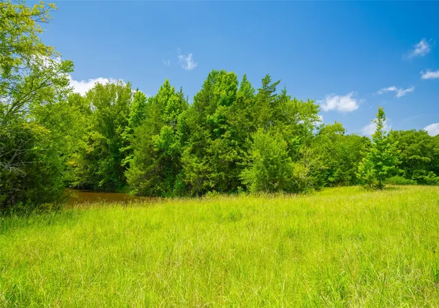 Photo 3 of Land for sale at 0 County Road 3311, Omaha, TX 75571 | MLS# 21046364 | Listing updated on 2026-07-17
