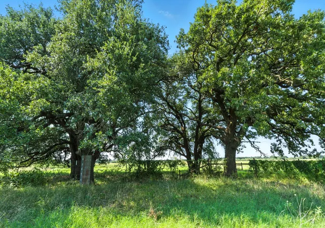 Homes for sale in Lipan, TX | 25750 S Fm 4, Lipan, TX 76462 | MLS# 21028058