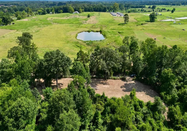 Homes for sale in Pittsburg, TX | Tbd County Rd 3211, Pittsburg, TX 75686 | MLS# 21049060