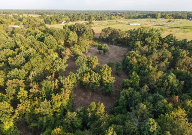 Photo 2 of Land for sale at Tbd County Rd 3211, Pittsburg, TX 75686 | MLS# 21049060 | Listing updated on 2026-09-02