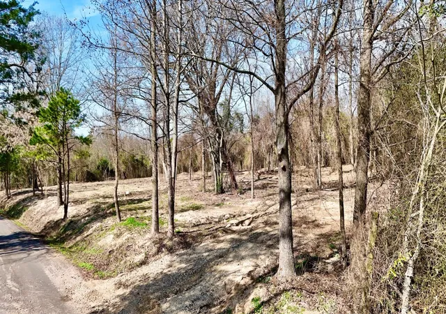 Homes for sale in Pittsburg, TX | Tbd County Rd 3211, Pittsburg, TX 75686 | MLS# 21049060