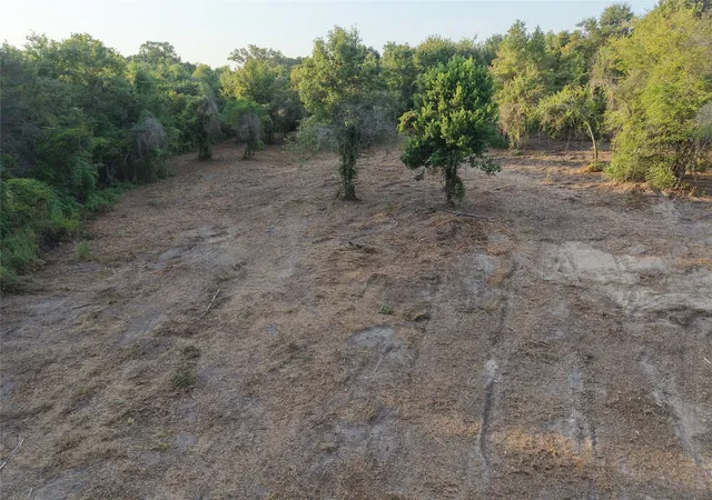 Photo 4 of Land for sale at Tbd County Rd 3211, Pittsburg, TX 75686 | MLS# 21049060 | Listing updated on 2026-09-02