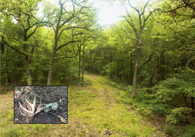 Homes for sale in Collinsville, TX | Tbd Pearce Rd, Collinsville, TX 76233 | MLS# 21049096