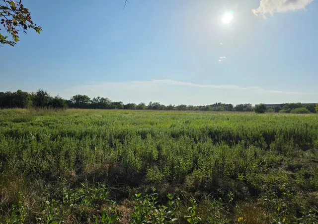 Homes for sale in Groesbeck, TX | 0000 N Grayson St, Groesbeck, TX 76642 | MLS# 21047348