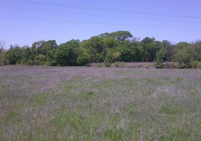 Homes for sale in St Jo, TX | 55 Ac Starr Mann, St Jo, TX 76265 | MLS# 21049466