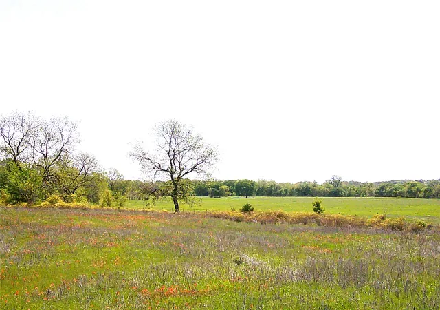 Homes for sale in St Jo, TX | 55 Ac Starr Mann, St Jo, TX 76265 | MLS# 21049466