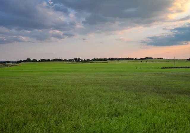 Photo 2 of Land for sale at Tbd County Road 138, Comanche, TX 76442 | MLS# 21050606 | Listing updated on 2026-08-24