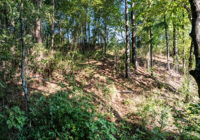Homes for sale in Winona, TX | 17109 Lux Mundi Lot 28, Winona, TX 75792 | MLS# 21049989