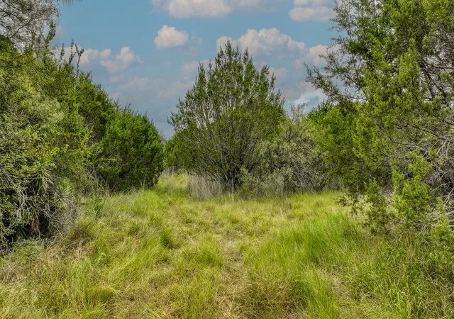 Homes for sale in Tolar, TX | 9133 Mcarthur Ct, Tolar, TX 76476 | MLS# 21051278