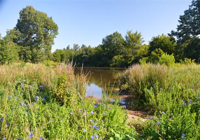 Photo 2 of Land for sale at Tbd Vz County Road 1820, Grand Saline, TX 75140 | MLS# 21051117 | Listing updated on 2026-09-27