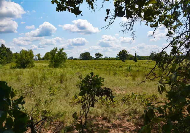 Land for sale at Tbd Vz County Road 1821, Grand Saline, TX 75140 | MLS# 21051402