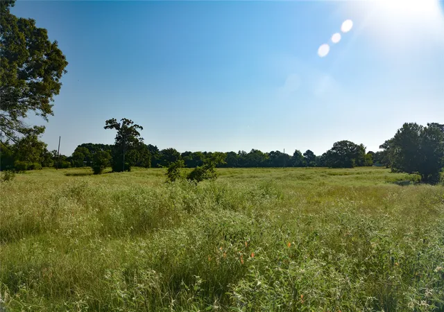 Photo 2 of Land for sale at Tbd Vz County Road 1821, Grand Saline, TX 75140 | MLS# 21051402 | Listing updated on 2026-09-27