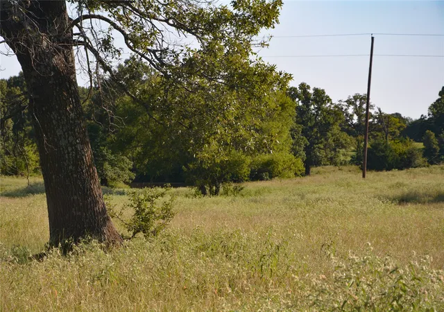 Photo 3 of Land for sale at Tbd Vz County Road 1821, Grand Saline, TX 75140 | MLS# 21051402 | Listing updated on 2026-09-27