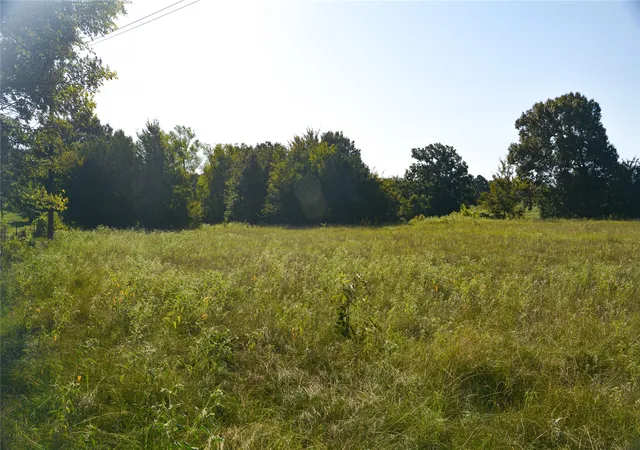 Photo 4 of House for sale at Tbd Vz County Road 1821, Grand Saline, TX 75140 | MLS# 21051402 | Listing updated on 2026-09-27