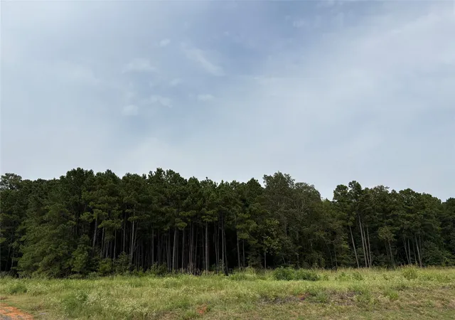 15th image of 0 Fox Skin Dr, Haughton, LA 71037 | MLS# 21050970