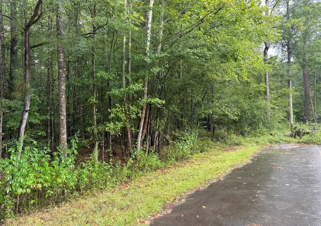 3rd image of 0 Fox Skin Dr, Haughton, LA 71037 | MLS# 21050970