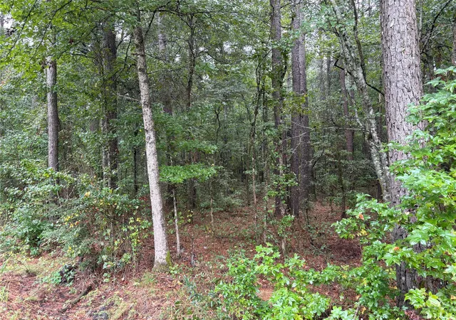 5th image of 0 Fox Skin Dr, Haughton, LA 71037 | MLS# 21050970