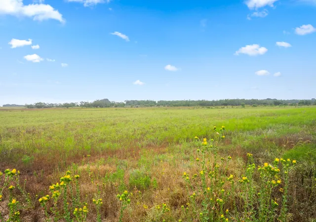 Photo 2 of Land for sale at 7756 County Road 241, Clyde, TX 79510 | MLS# 21050624 | Listing updated on 2026-08-24