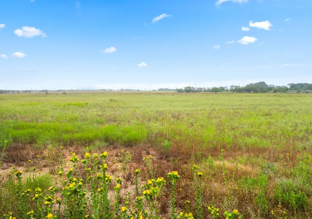 Photo 3 of Land for sale at 7756 County Road 241, Clyde, TX 79510 | MLS# 21050624 | Listing updated on 2026-08-24