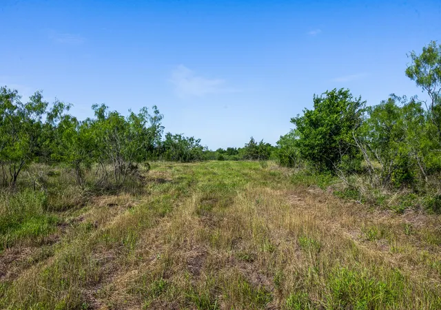Photo 1 of Land for sale at Tract 2 Tbd Lcr 390, Groesbeck, TX 76642 | MLS# 21052174 | Listing updated on 2026-09-23