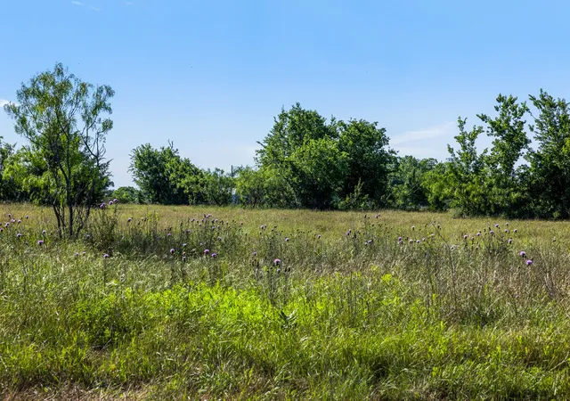Photo 3 of Land for sale at Tract 2 Tbd Lcr 390, Groesbeck, TX 76642 | MLS# 21052174 | Listing updated on 2026-09-23