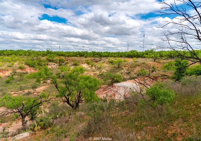 Photo 2 of Land for sale at Tbd Cr 195, Anson, TX 79501 | MLS# 21052209 | Listing updated on 2026-08-22