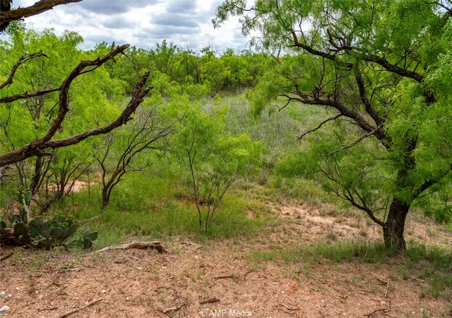 Photo 3 of House for sale at Tbd Cr 195, Anson, TX 79501 | MLS# 21052209 | Listing updated on 2026-08-22