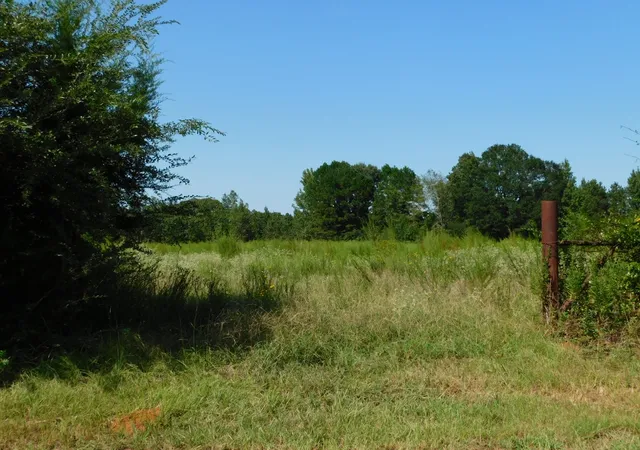 1st image of 0 Cox Rd, Sarepta, LA 71071 | MLS# 21055336