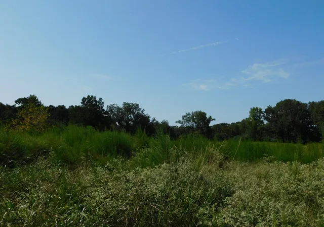 4th image of 0 Cox Rd, Sarepta, LA 71071 | MLS# 21055336