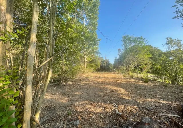 Photo 15 of Sale Pending at 1631 Lcr 760, Groesbeck, TX 76642 | MLS# 21054762 | Listing updated on 2026-08-31
