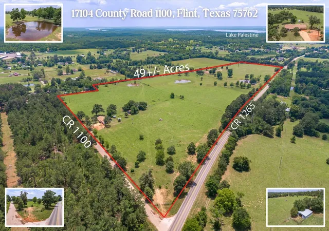 Land for sale at 17104 County Road 1100, Flint, TX 75762 | MLS# 21051974