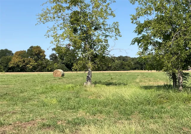 Homes for sale in Corsicana, TX | Lot 58 Grandview Dr, Corsicana, TX 75109 | MLS# 21018787