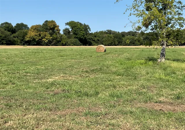Homes for sale in Corsicana, TX | Lot 58 Grandview Dr, Corsicana, TX 75109 | MLS# 21018787
