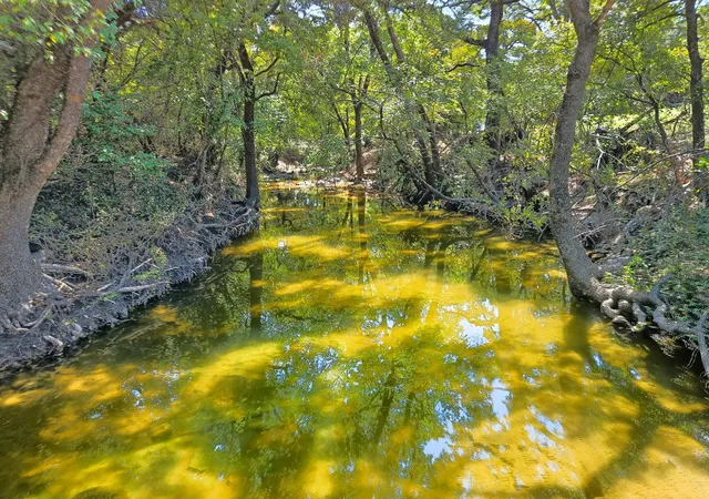 Photo 3 of Land for sale at Tbd 1965 Acres Fm 116 Rd, Gatesville, TX 76528 | MLS# 21057769 | Listing updated on 2026-09-02