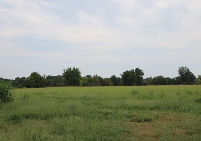 Photo 1 of Land for sale at Tbd Rs County Road 3425, Emory, TX 75440 | MLS# 21057943 | Listing updated on 2026-08-28