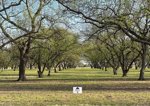 Homes for sale in De Leon, TX | Tbd Cr 461, De Leon, TX 76444 | MLS# 21058263