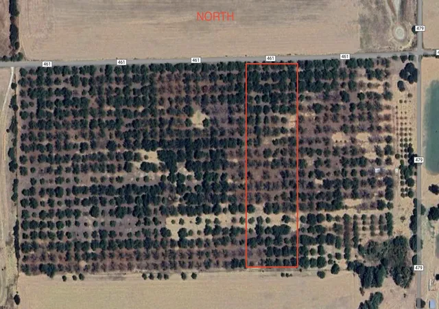 Homes for sale in De Leon, TX | Tbd Cr 461, De Leon, TX 76444 | MLS# 21058263