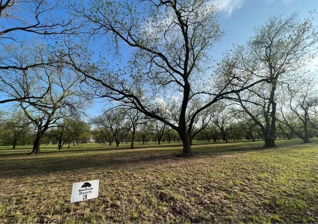 Homes for sale in De Leon, TX | Tbd Cr 461, De Leon, TX 76444 | MLS# 21058263