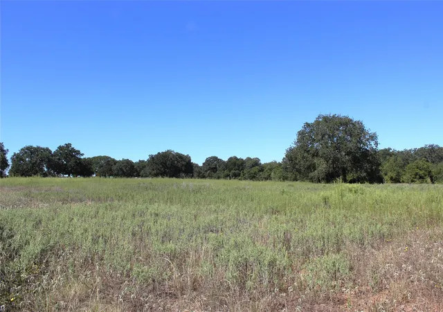 Photo 1 of Land for sale at 165 County Road 315, Comanche, TX 76442 | MLS# 21058567 | Listing updated on 2026-09-24