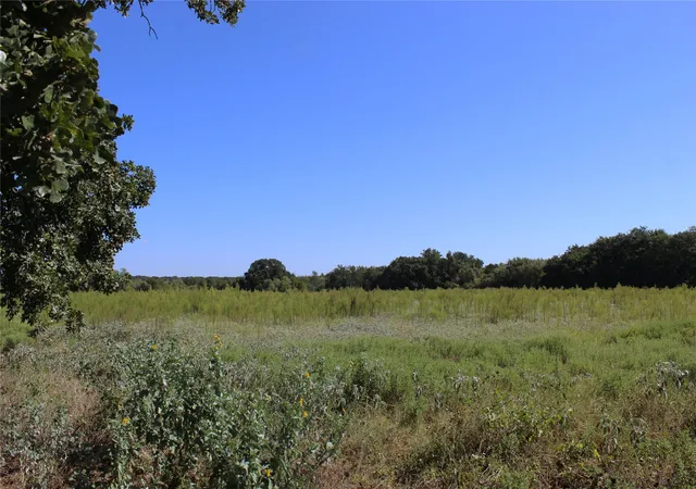 Photo 2 of Land for sale at 165 County Road 315, Comanche, TX 76442 | MLS# 21058567 | Listing updated on 2026-09-24