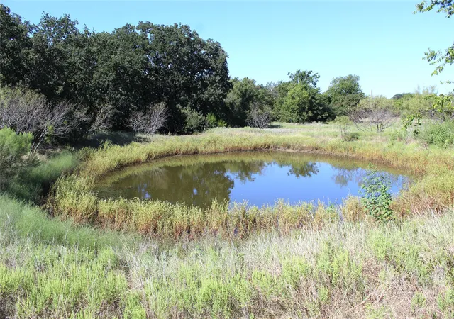 Photo 3 of Land for sale at 165 County Road 315, Comanche, TX 76442 | MLS# 21058567 | Listing updated on 2026-09-24