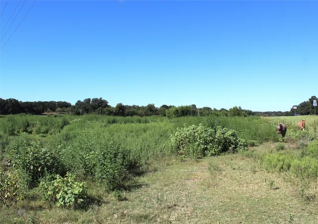 Photo 3 of Land for sale at 165 County Road 315, Comanche, TX 76442 | MLS# 21058567 | Listing updated on 2026-09-24