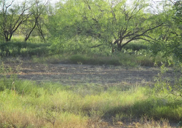 Photo 4 of Land for sale at Tbd Cr 467 Cr 467, No City, TX 76882 | MLS# 21059620 | Listing updated on 2026-08-22