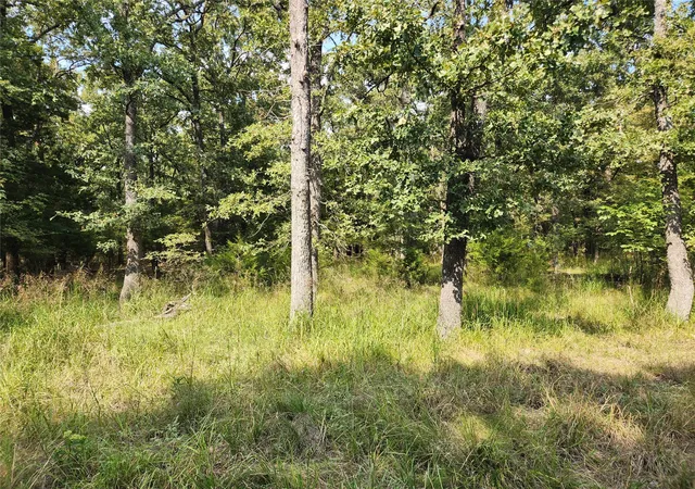 Photo 1 of Land for sale at Lot 31 Fox Point Rd, Quinlan, TX 75474 | MLS# 21059624 | Listing updated on 2026-08-23