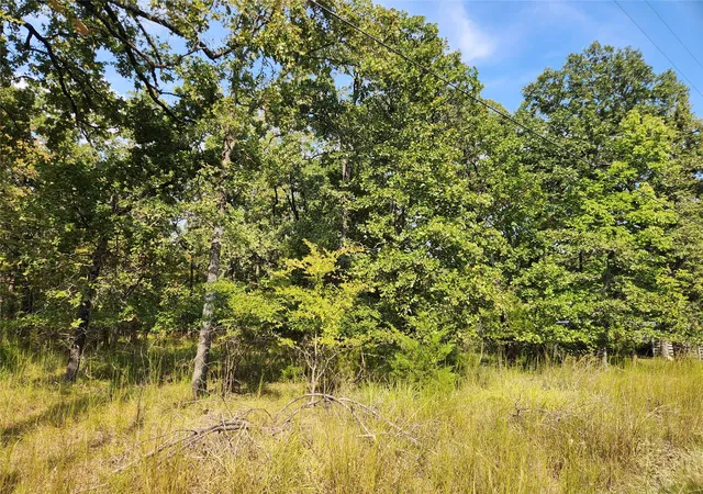 Photo 3 of Land for sale at Lot 31 Fox Point Rd, Quinlan, TX 75474 | MLS# 21059624 | Listing updated on 2026-08-23