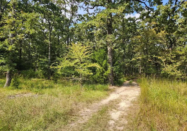 Photo 4 of Land for sale at Lot 31 Fox Point Rd, Quinlan, TX 75474 | MLS# 21059624 | Listing updated on 2026-08-23
