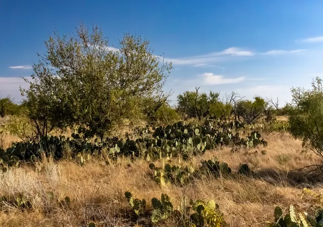 Photo 2 of Land for sale at Tbd County Road 242, Clyde, TX 79510 | MLS# 21060142 | Listing updated on 2026-08-30