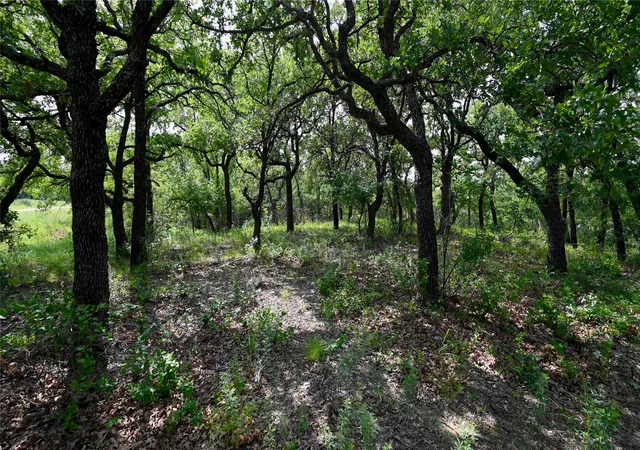 Homes for sale in Nocona, TX | Tbd Cherokee Ct, Nocona, TX 76255 | MLS# 21060597