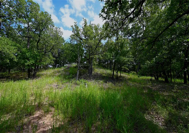 Homes for sale in Nocona, TX | Tbd Cherokee Ct, Nocona, TX 76255 | MLS# 21060597