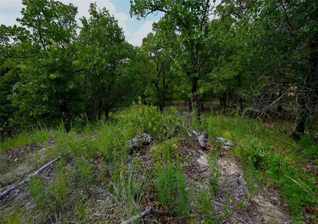 Homes for sale in Nocona, TX | Tbd Nocona Dr, Nocona, TX 76255 | MLS# 21060787